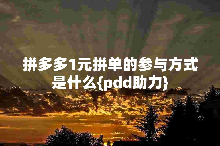 拼多多1元拼单的参与方式是什么{pdd助力}