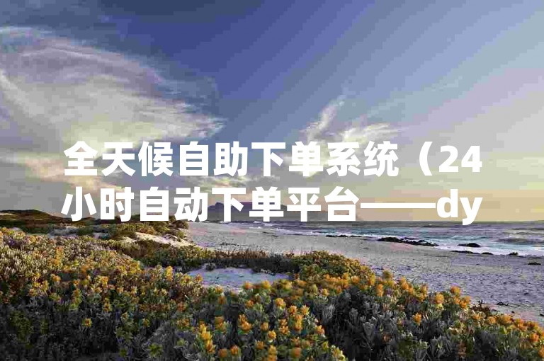 全天候自助下单系统（24小时自动下单平台——dy改写服务）