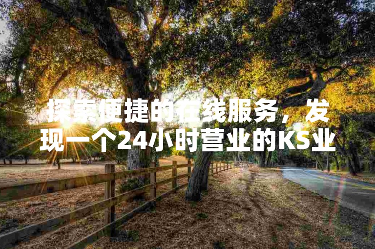 探索便捷的在线服务，发现一个24小时营业的KS业务平台，提供超值低价选项。