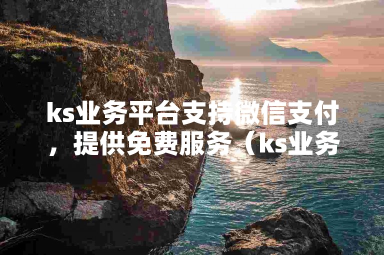 ks业务平台支持微信支付，提供免费服务（ks业务网可通过微信进行支付）。