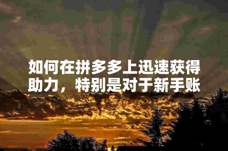 如何在拼多多上迅速获得助力，特别是对于新手账号？