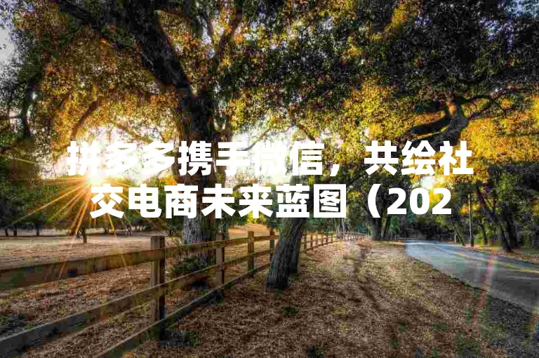 拼多多携手微信，共绘社交电商未来蓝图（2025前瞻）