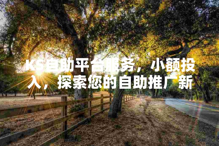 KS自助平台服务，小额投入，探索您的自助推广新境界