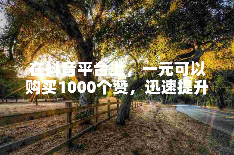在抖音平台上，一元可以购买1000个赞，迅速提升视频的热度。