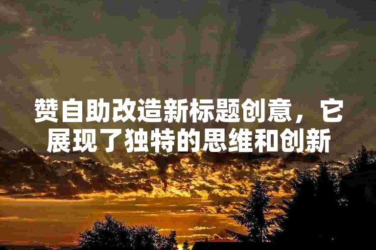 赞自助改造新标题创意，它展现了独特的思维和创新的能力。
