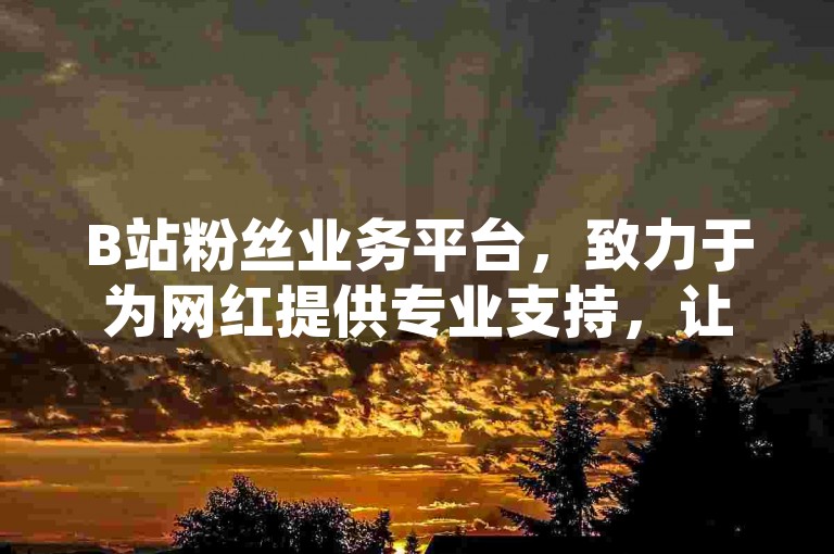 B站粉丝业务平台，致力于为网红提供专业支持，让粉丝服务更加贴心。