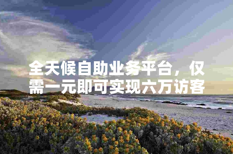 全天候自助业务平台，仅需一元即可实现六万访客量的快速提升。