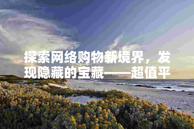 探索网络购物新境界，发现隐藏的宝藏——超值平台，让你以难以置信的低价尽享购物乐趣。