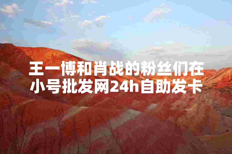 王一博和肖战的粉丝们在小号批发网24h自助发卡平台上热议着他们的新剧。
