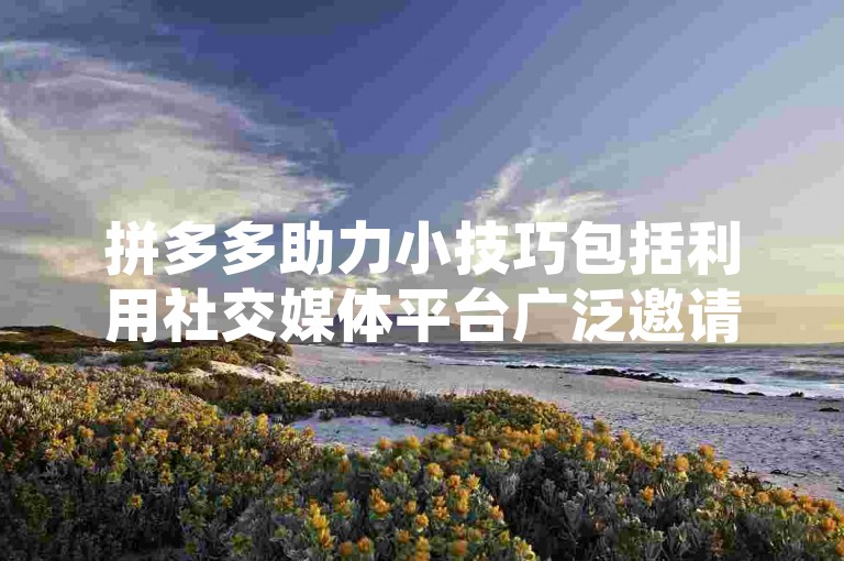 拼多多助力小技巧包括利用社交媒体平台广泛邀请朋友和家人参与，以及在拼多多内部群组中积极互动以获取更多助力机会。