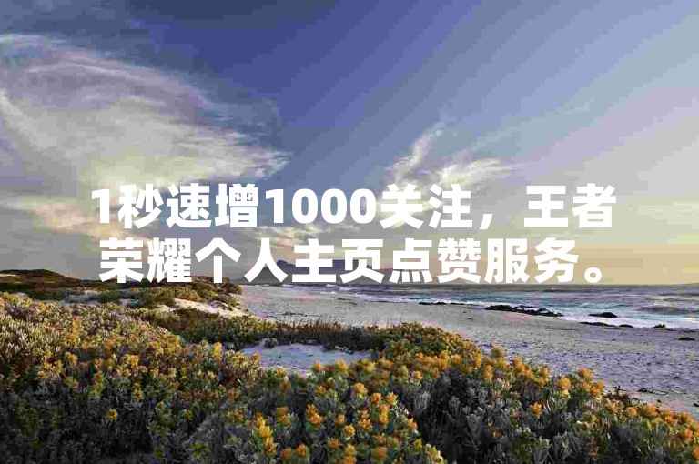 1秒速增1000关注，王者荣耀个人主页点赞服务。