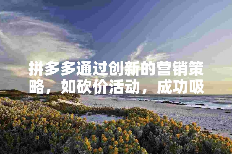 拼多多通过创新的营销策略，如砍价活动，成功吸引了大量用户参与推广其平台。