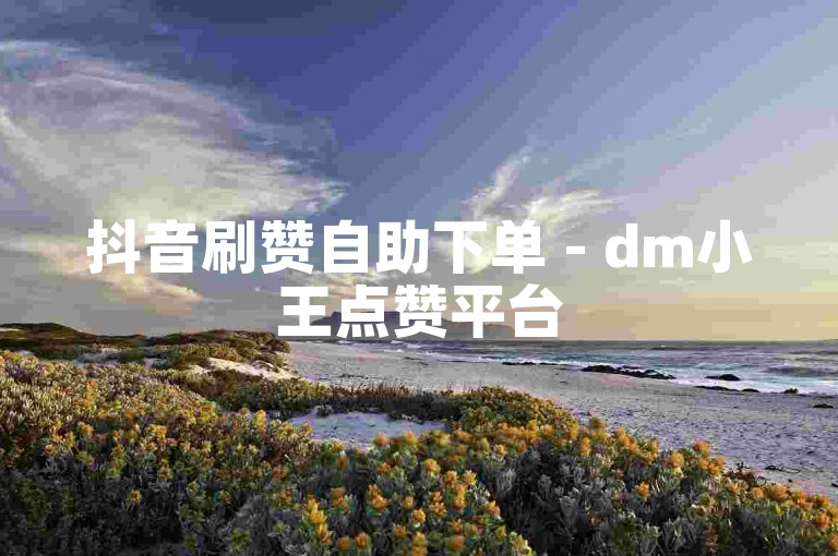 抖音刷赞自助下单 - dm小王点赞平台