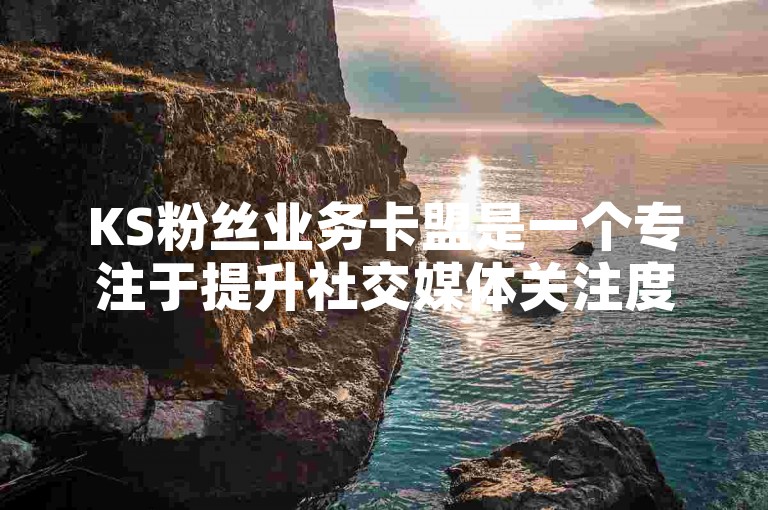 KS粉丝业务卡盟是一个专注于提升社交媒体关注度的平台，旨在帮助用户快速增加他们的粉丝数量。