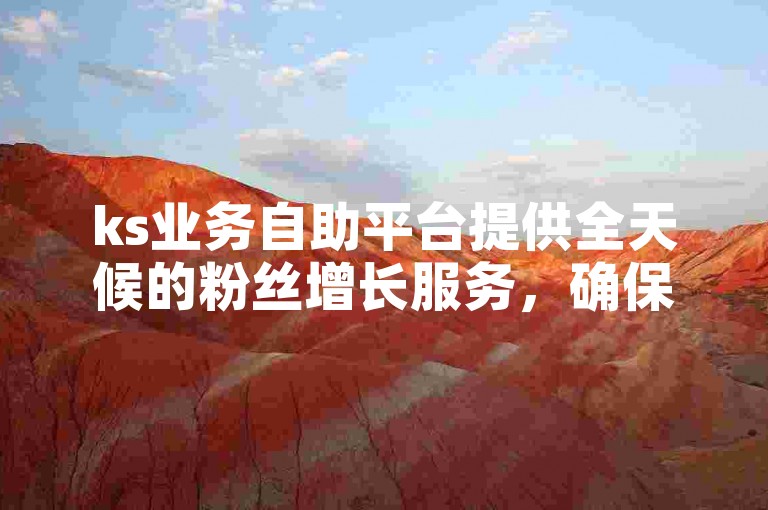 ks业务自助平台提供全天候的粉丝增长服务，确保您能随时提升您的社交媒体影响力。