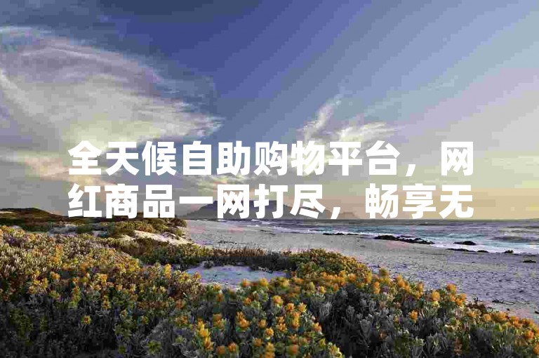 全天候自助购物平台，网红商品一网打尽，畅享无忧购物乐趣。