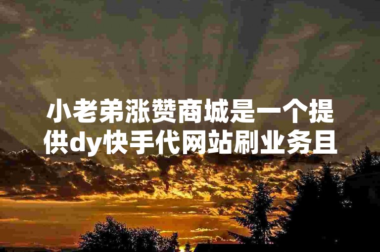 小老弟涨赞商城是一个提供dy快手代网站刷业务且价格亲民的平台。