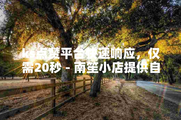 ks点赞平台快速响应，仅需20秒 - 南笙小店提供自助服务。