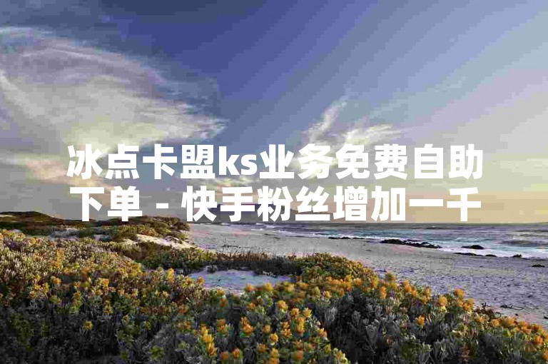 冰点卡盟ks业务免费自助下单 - 快手粉丝增加一千