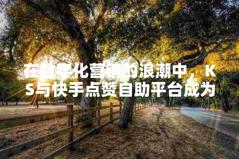 在数字化营销的浪潮中，KS与快手点赞自助平台成为了提升内容曝光度的有效工具。