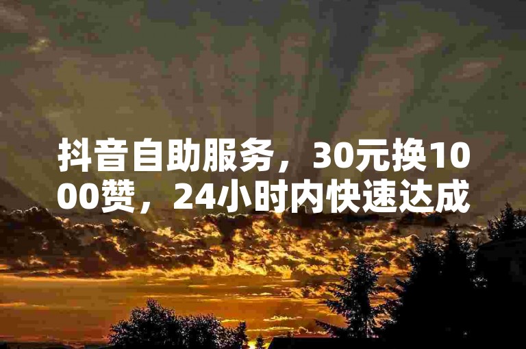 抖音自助服务，30元换1000赞，24小时内快速达成。
