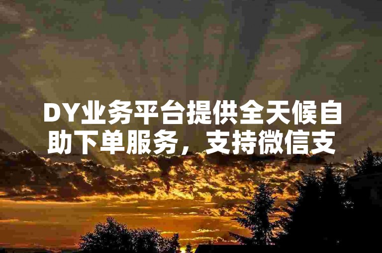 DY业务平台提供全天候自助下单服务，支持微信支付，让您轻松享受热门业务的便捷操作。