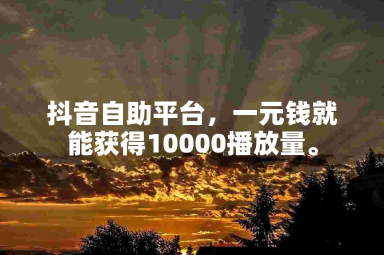 抖音自助平台，一元钱就能获得10000播放量。