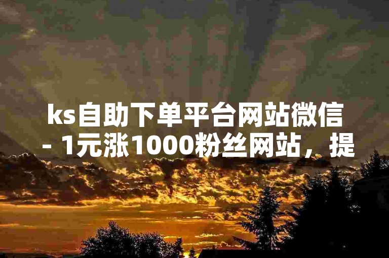 ks自助下单平台网站微信 - 1元涨1000粉丝网站，提供便捷的服务，让你的社交影响力迅速提升。