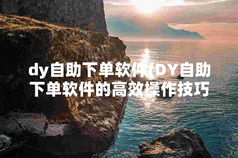 dy自助下单软件(DY自助下单软件的高效操作技巧与功能亮点)