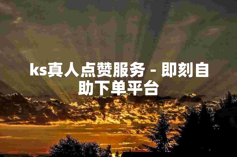 ks真人点赞服务 - 即刻自助下单平台