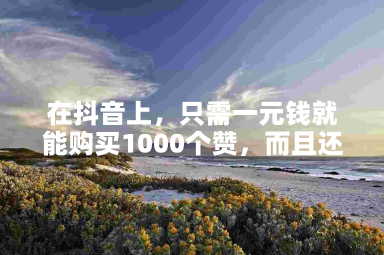 在抖音上，只需一元钱就能购买1000个赞，而且还有24小时自助下单的服务平台。