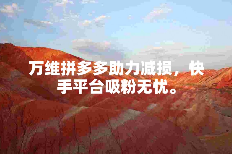 万维拼多多助力减损，快手平台吸粉无忧。