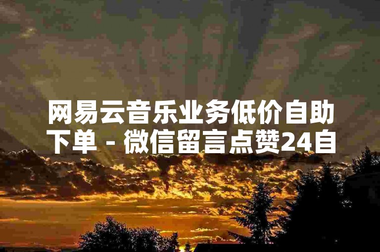 网易云音乐业务低价自助下单 - 微信留言点赞24自助服务