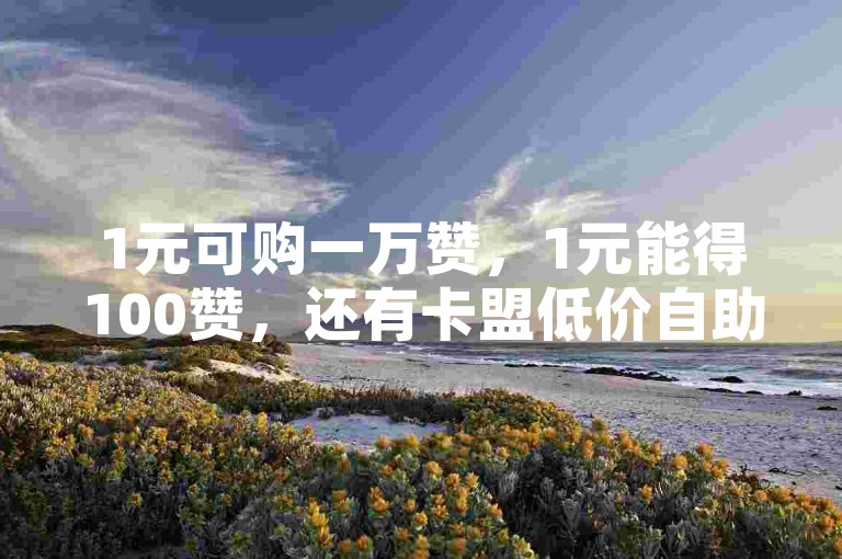 1元可购一万赞，1元能得100赞，还有卡盟低价自助下单平台tt可供选择。