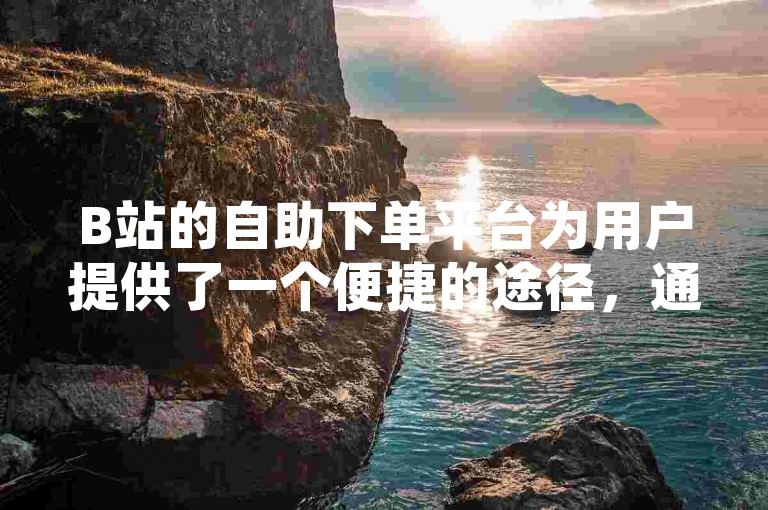 B站的自助下单平台为用户提供了一个便捷的途径，通过这个平台，用户可以自助完成各种业务订单，确保了操作的真实性和效率。