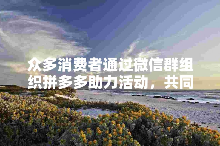 众多消费者通过微信群组织拼多多助力活动，共同拼单享受更优惠的价格。