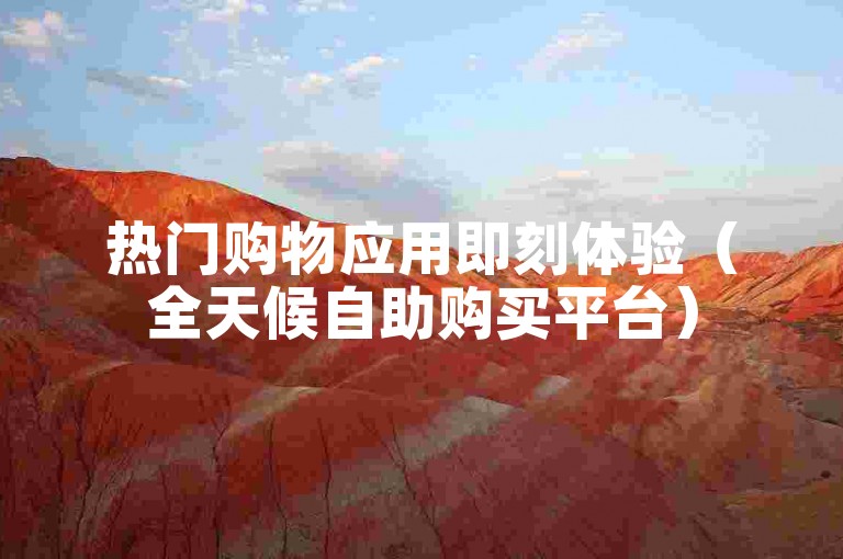 热门购物应用即刻体验（全天候自助购买平台）