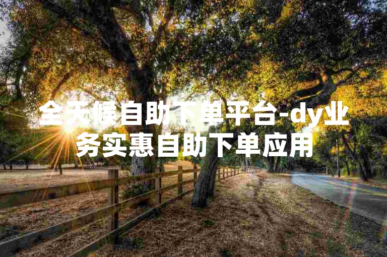 全天候自助下单平台-dy业务实惠自助下单应用