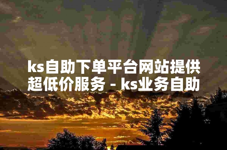 ks自助下单平台网站提供超低价服务 - ks业务自助平台享受超值优惠