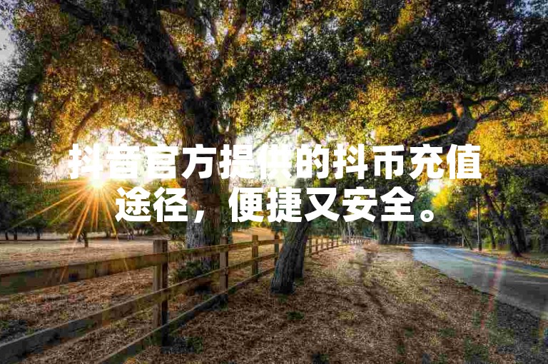 抖音官方提供的抖币充值途径，便捷又安全。