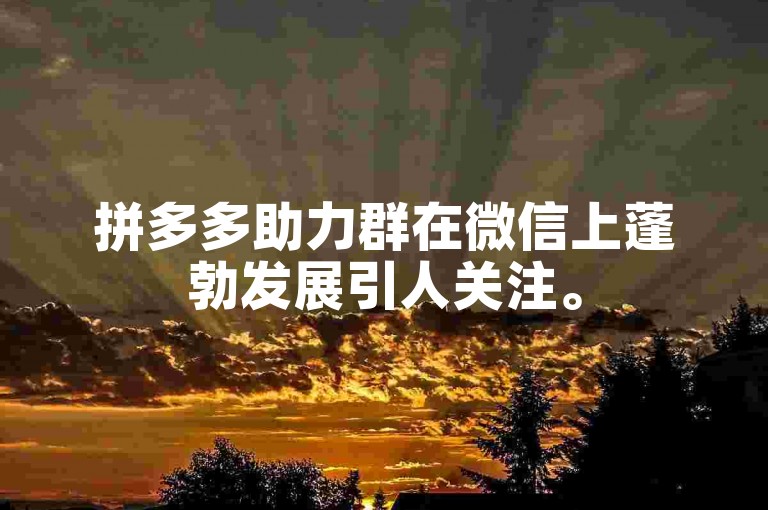 拼多多助力群在微信上蓬勃发展引人关注。