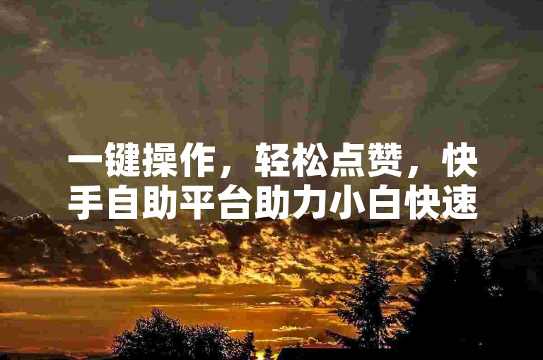 一键操作，轻松点赞，快手自助平台助力小白快速上热门。