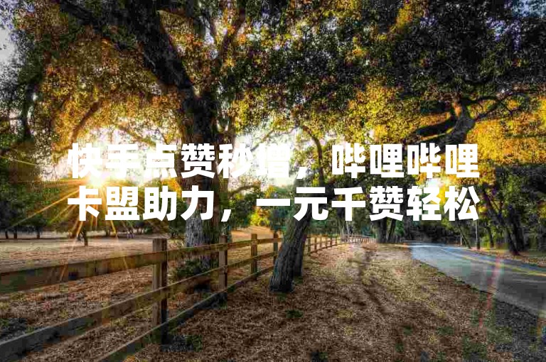 快手点赞秒增，哔哩哔哩卡盟助力，一元千赞轻松达。