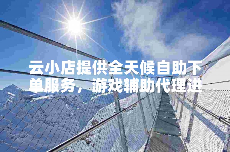 云小店提供全天候自助下单服务，游戏辅助代理进货渠道便捷。