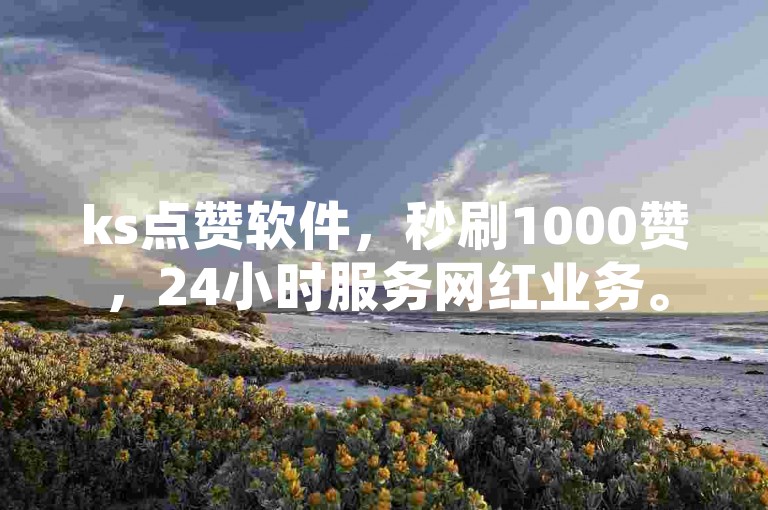 ks点赞软件，秒刷1000赞，24小时服务网红业务。