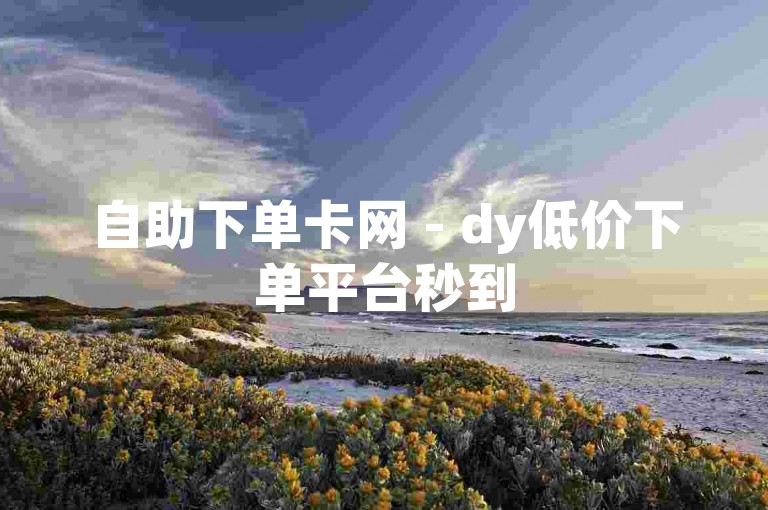 自助下单卡网 - dy低价下单平台秒到