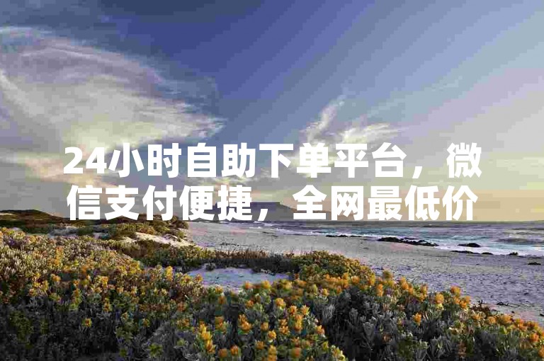 24小时自助下单平台，微信支付便捷，全网最低价。