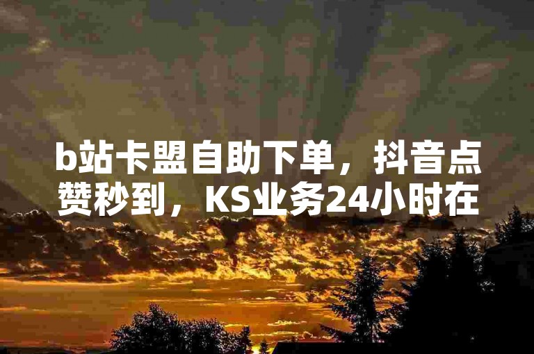b站卡盟自助下单，抖音点赞秒到，KS业务24小时在线充值。