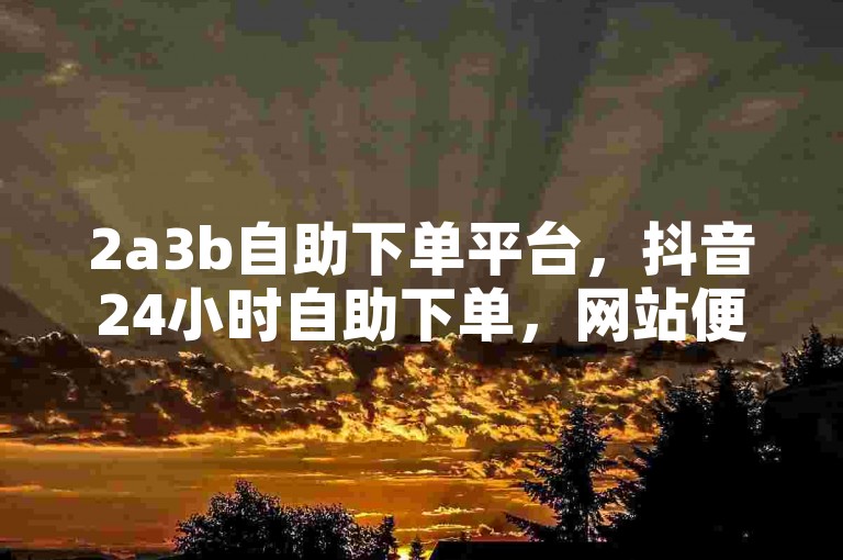 2a3b自助下单平台，抖音24小时自助下单，网站便宜。
