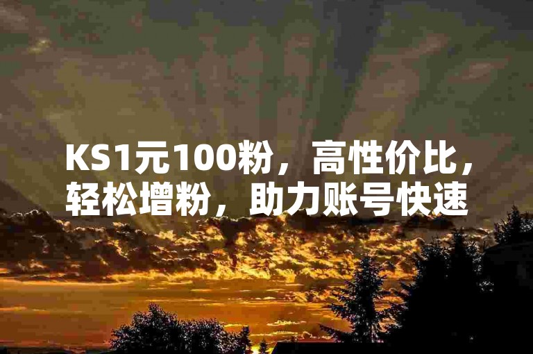 KS1元100粉，高性价比，轻松增粉，助力账号快速成长。